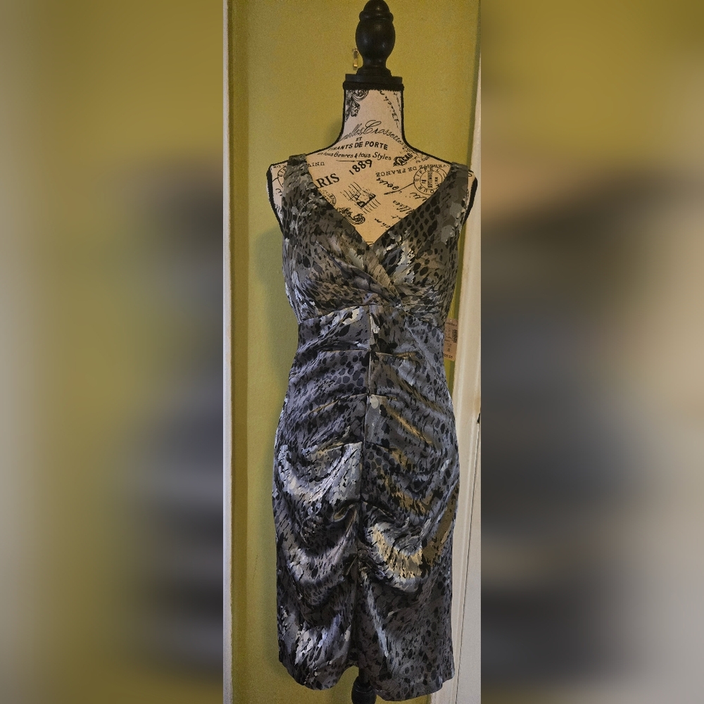 Collection by Dressbarn, size 8, Silver/Black dress